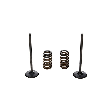 ProX Zestaw Zaworów Ssących...