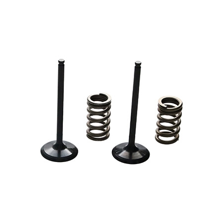 ProX Zestaw Zaworów Ssących...