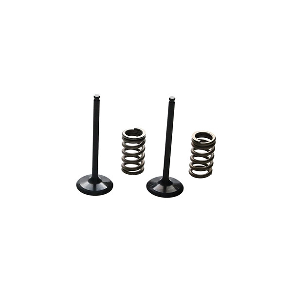 ProX Zestaw Zaworów Ssących Stalowych (+sprężyny) YZ250F '14-18