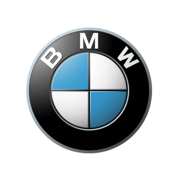 Oryginalny gmol BMW