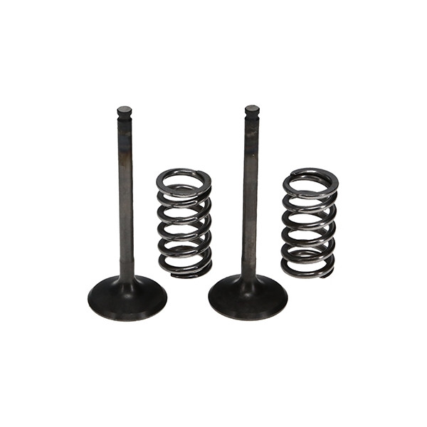 ProX Zestaw Zaworów Wydechowych Stalowych (+sprężyny) YZ/WR450F '03-09