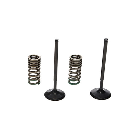 ProX Zestaw Zaworów Ssących...