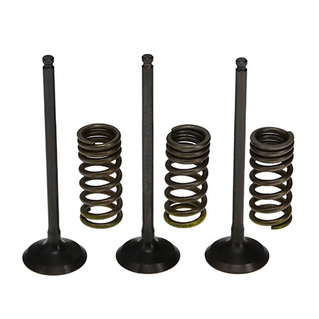 ProX Zestaw Zaworów Ssących...