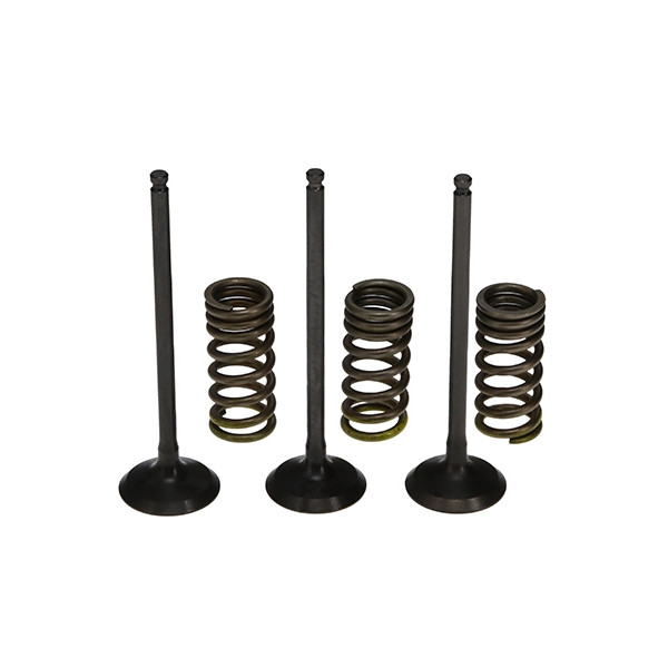 ProX Zestaw Zaworów Ssących Stalowych (+sprężyny) YZ250F '01-13 + WR250F