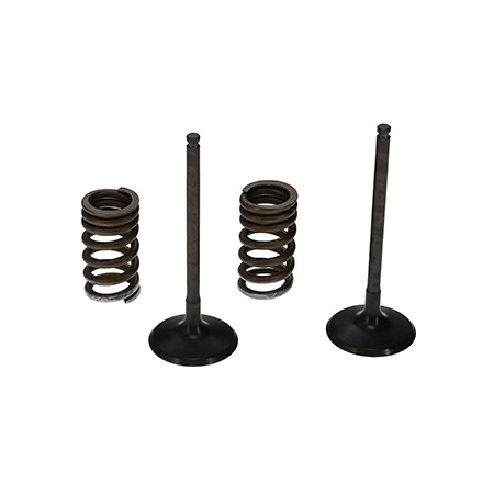 ProX Zestaw Zaworów Ssących...