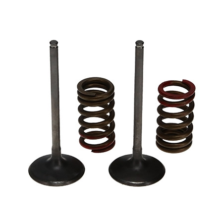 ProX Zestaw Zaworów Ssących...